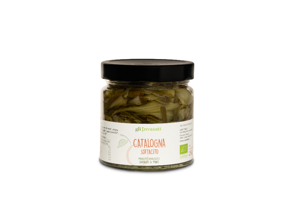 cicoria catalogna sottaceto